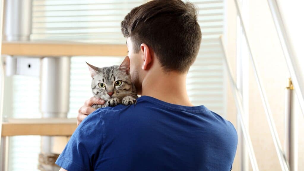 Why Does My Cat Smell Good? The Science Behind The Scent – Furrly Pet